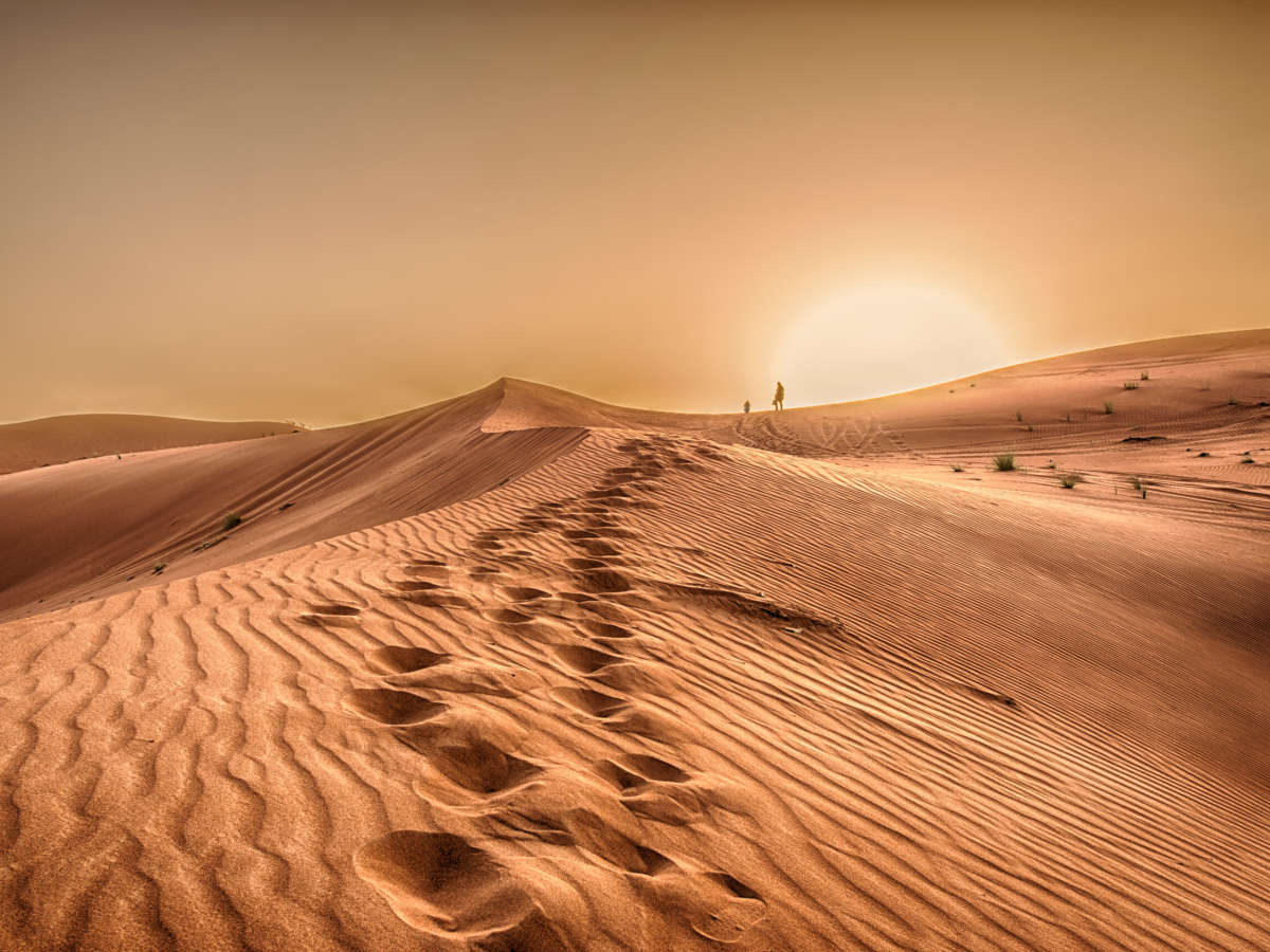 From Smart Buys to Sand Dunes: A Seamless Lifestyle in the Gulf