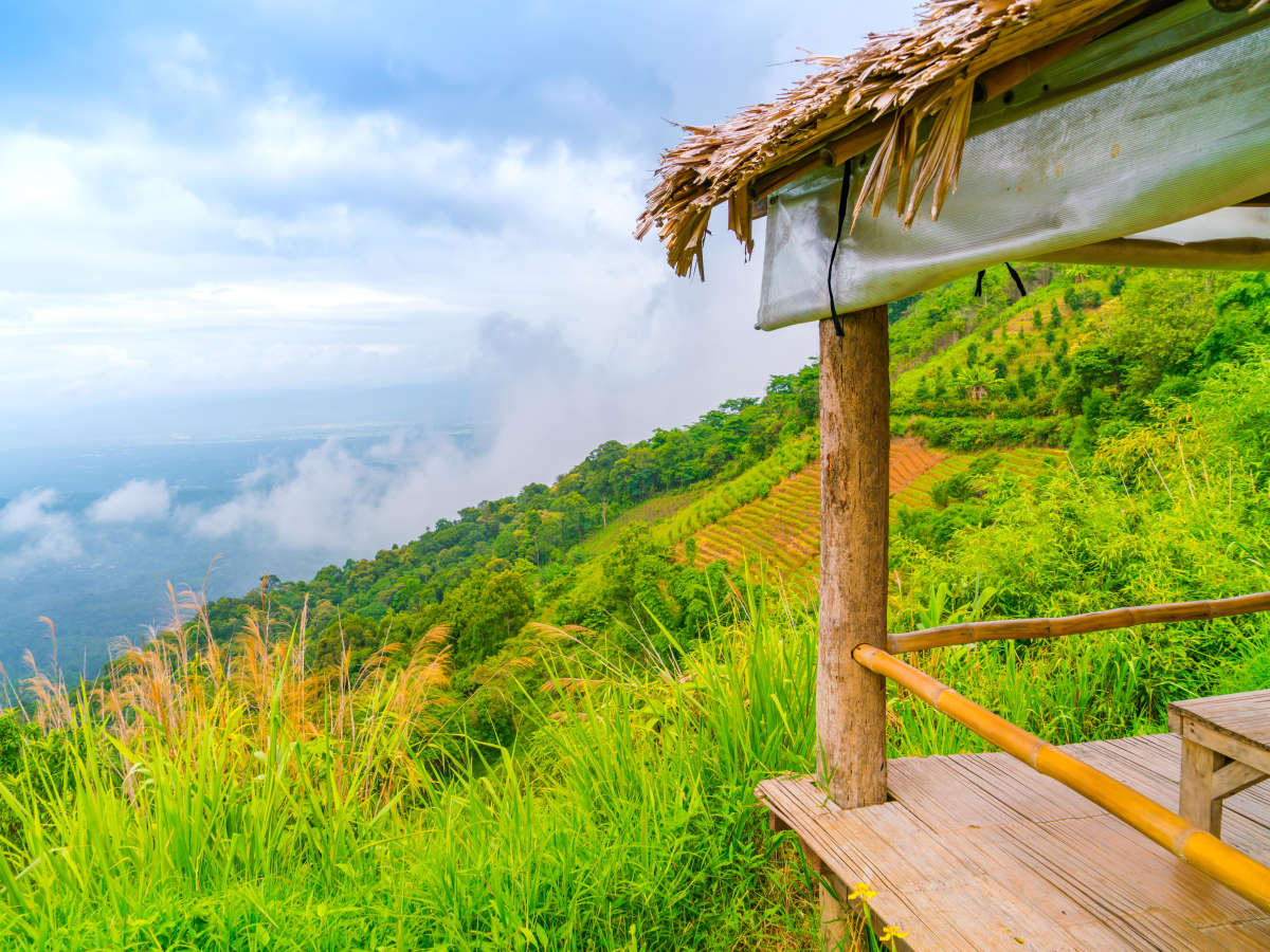 The Untold Side of Ziro Valley: Bamboo Homes, Tribal Music & Bonfire Nights