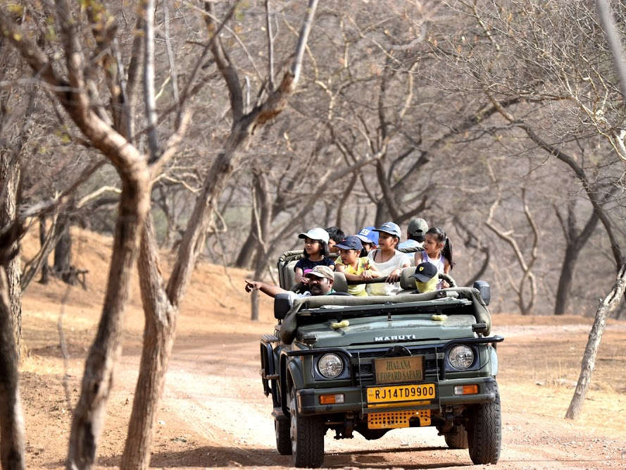 Into the Wild: Discover the Thrill of Jhalana Leopard Safari