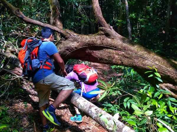 Kodachadri Trek: A Journey Through Mist, Mountains, and Magic in the Western Ghats