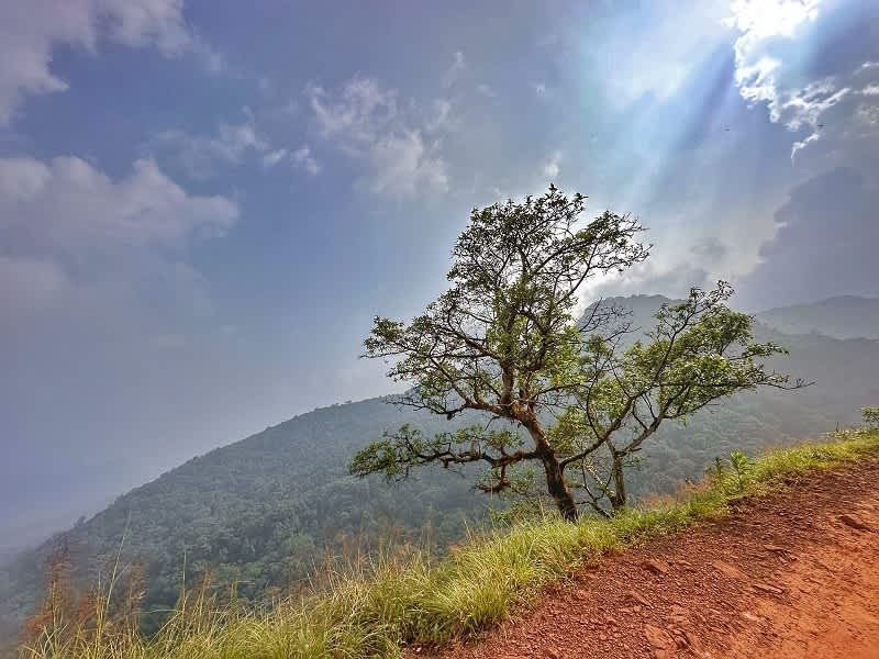 Trekking Through the Clouds: My Journey on the Kodachadri Trek