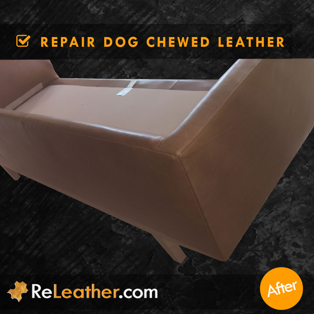 Recover Leather Couch Chewed by Dog - After
