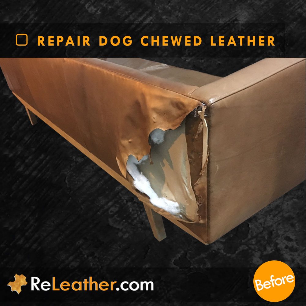 Recover Leather Couch Chewed by Dog - Before