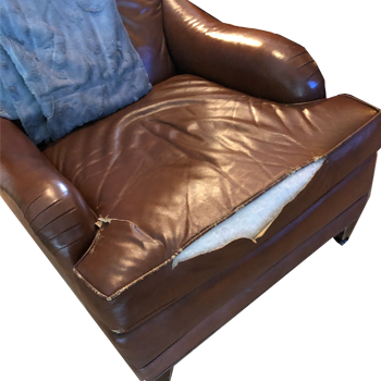 Fix ripped seams leather sofa cushion - Recover and Reupholster Leather