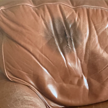 Fix Oil Stained leather sofa cushion - Recover and Reupholster