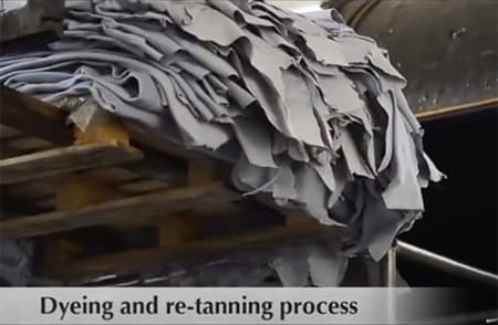 Leather Tanning Process How Leather Is Made title=