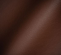 Type of leather Protected Leather