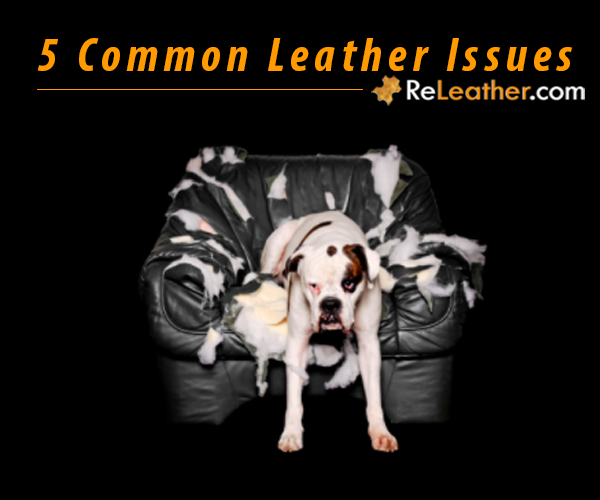 5 common issues with leather furniture