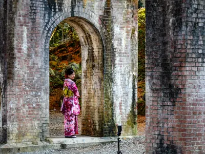 Blossom Within Ruins