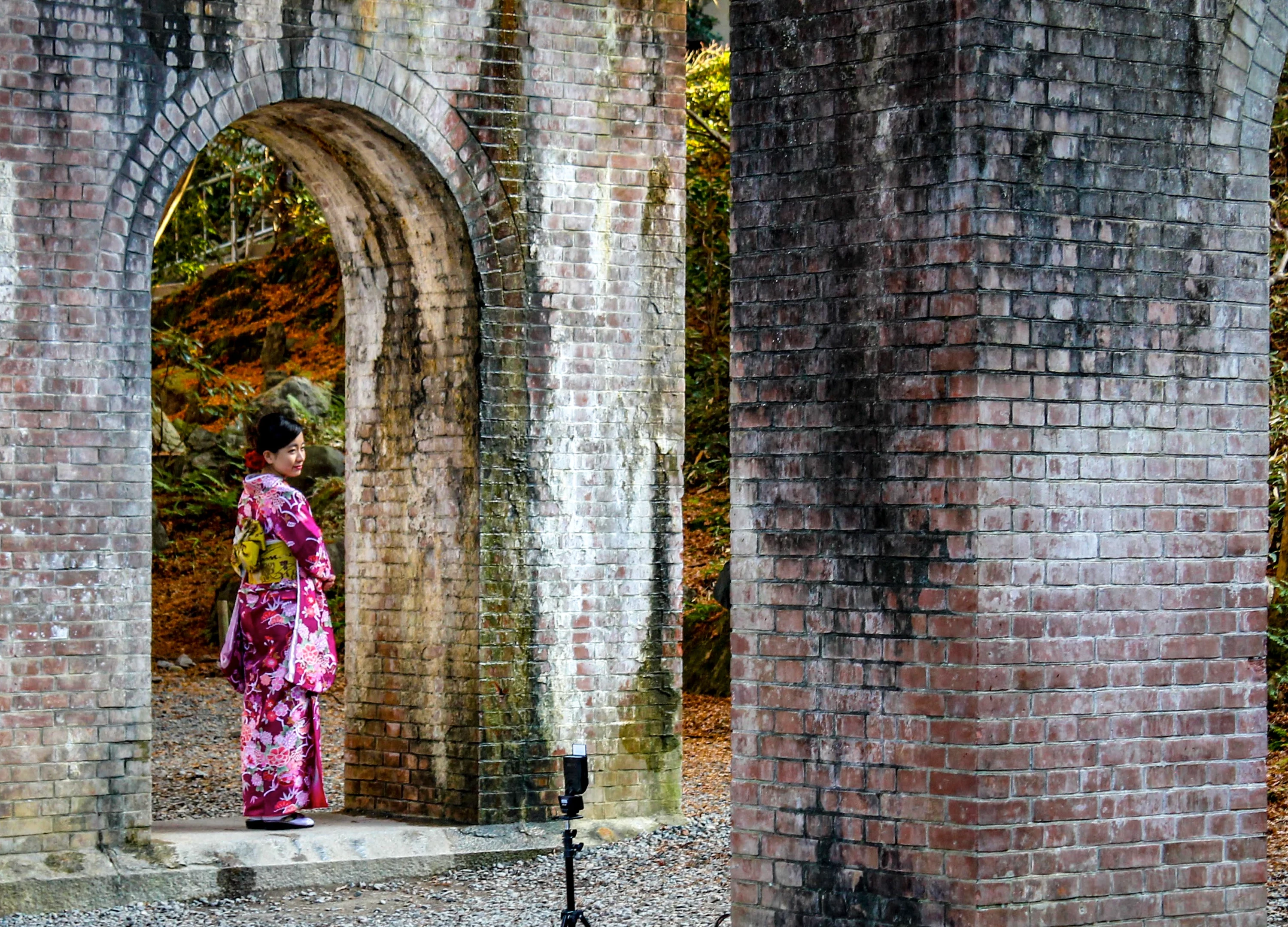 Blossom Within Ruins