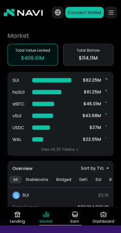 NAVI Protocol