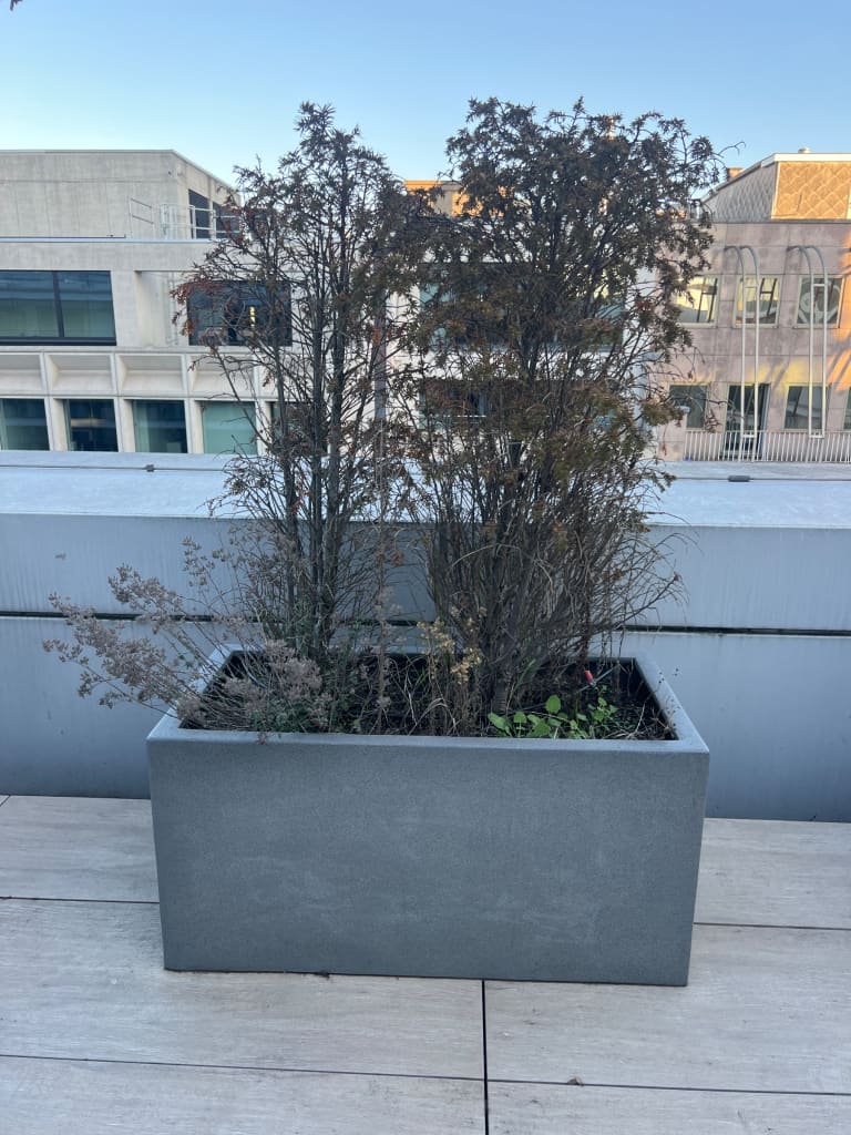 Gray concrete planter with drainage holes product image 1