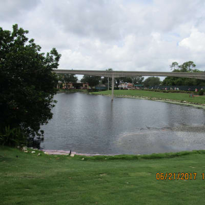 ZEBRA LANDSCAPING image