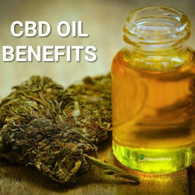 CBD+ Health Boutique of Deerfield Beach gallery image.