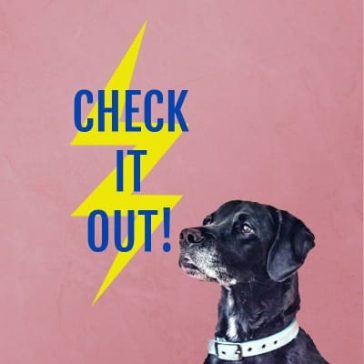 T & B Cleaning Services gallery image.