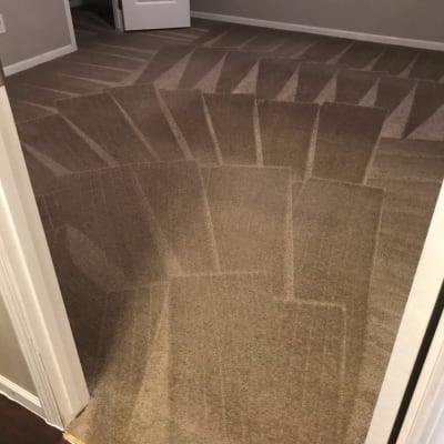 Leon’s Carpet Cleaning gallery image.