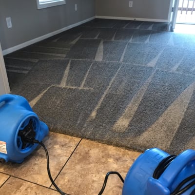 Leon’s Carpet Cleaning gallery image.