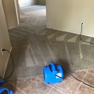 Leon’s Carpet Cleaning gallery image.