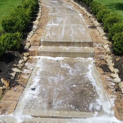  Empire soft and pressure washing gallery image.