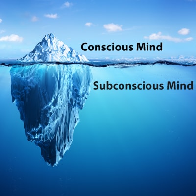 Dawn Fields Marketing image