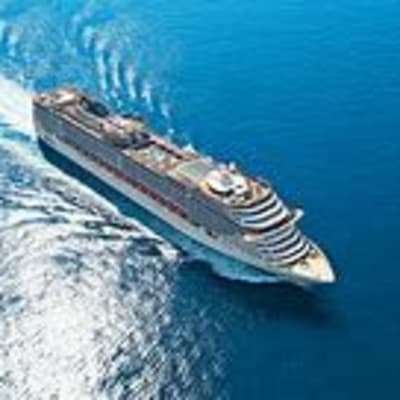 Mo Mills gallery image.