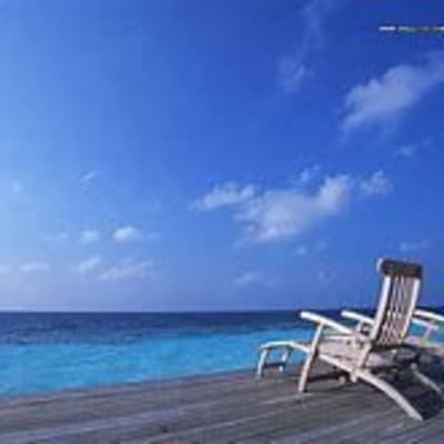 Mo Mills gallery image.