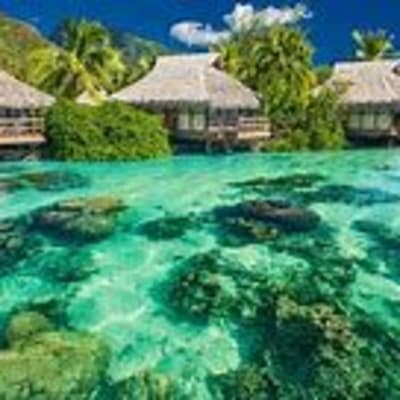 Mo Mills gallery image.