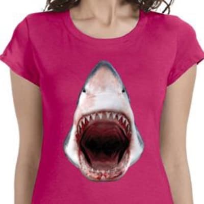 Swim Lesson Club USA gallery image.