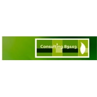 Consulting 89102 Inc image