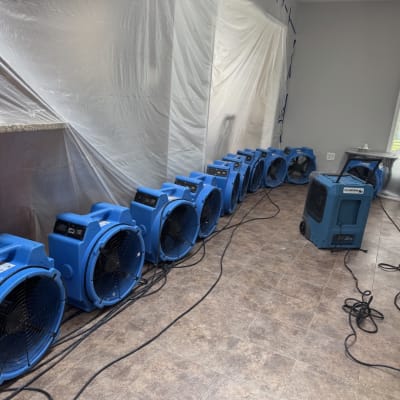 Prime Solutions  gallery image.