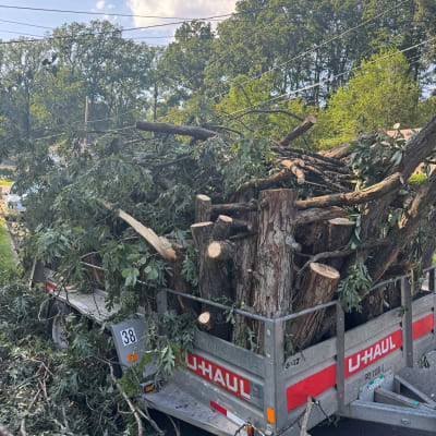 Prime Solutions  gallery image.