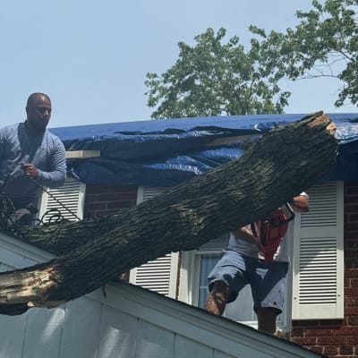 Prime Solutions  gallery image.