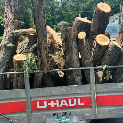 Prime Solutions  gallery image.