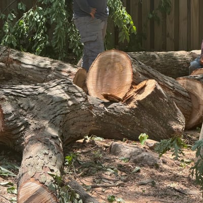 Prime Solutions  gallery image.