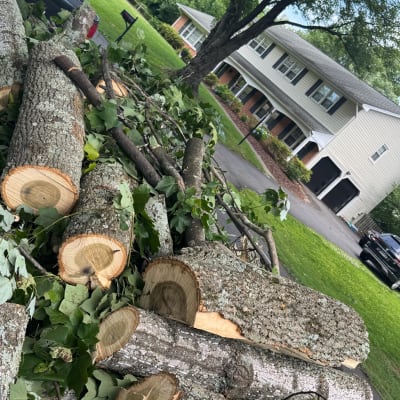 Prime Solutions  gallery image.