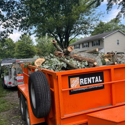 Prime Solutions  gallery image.