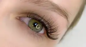 classic-full eyelash extension