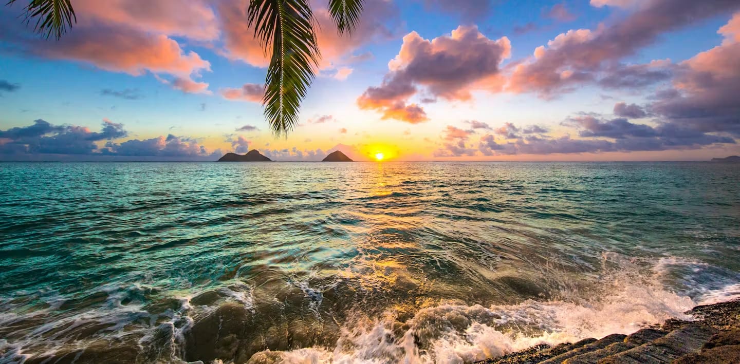 5a5ebfff-5bcf-44c2-8f42-1276cc891b84_Screen+Shot+2023-12-20+at+2.53.25+PM