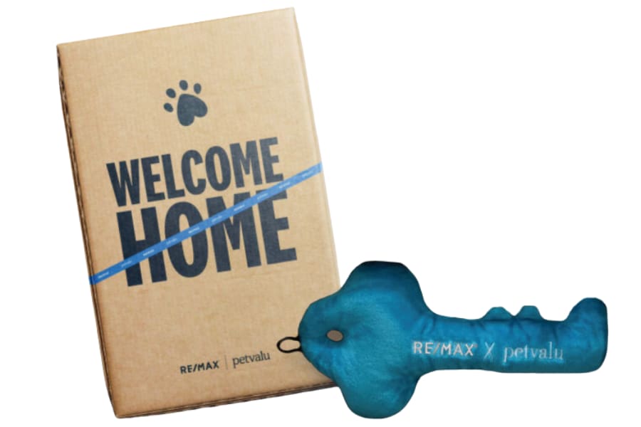 Screen-Shot-2022-06-10-at-12.14.58-PM