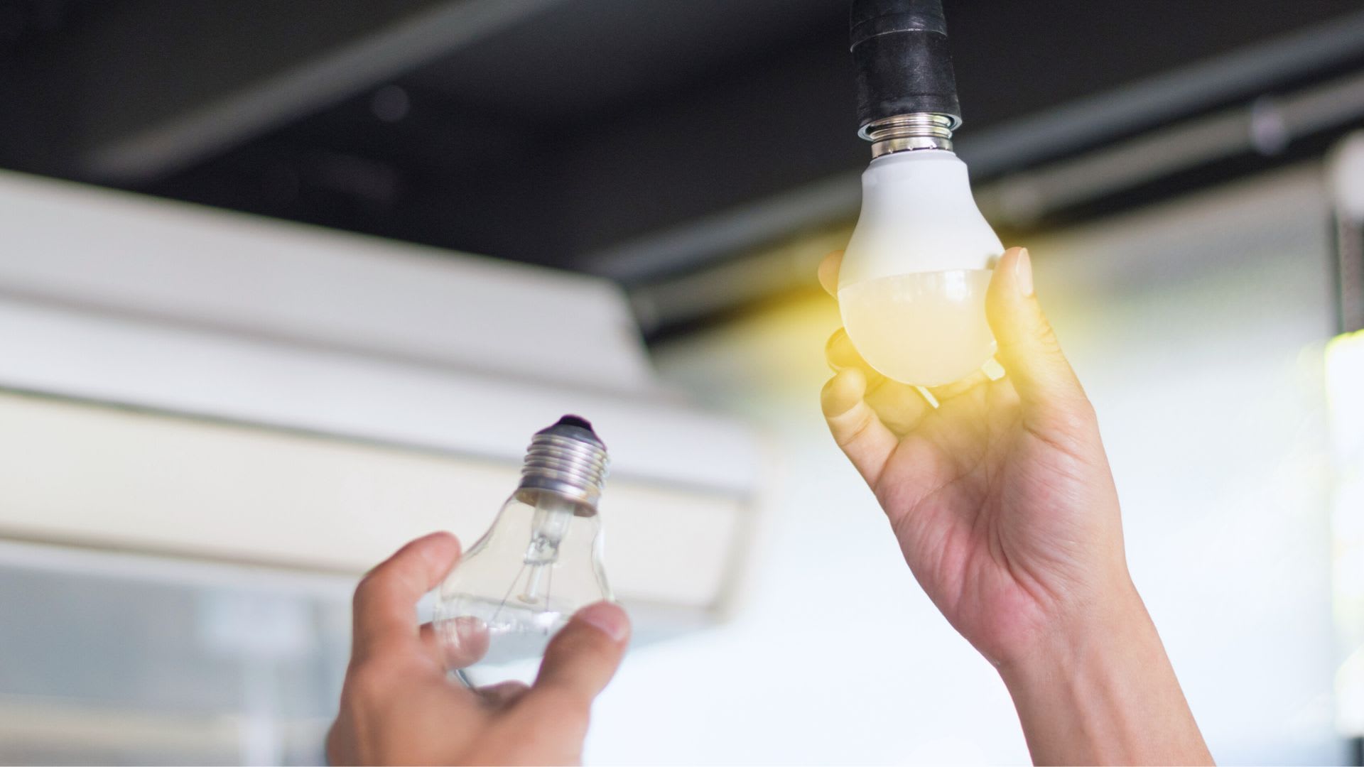 Top eco-friendly home upgrades