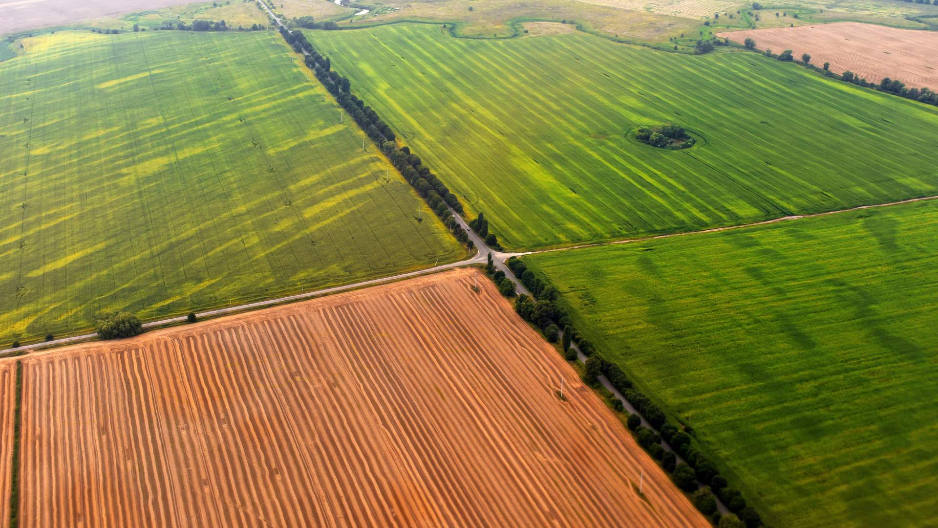 Buying land - a vast picture of land for sale