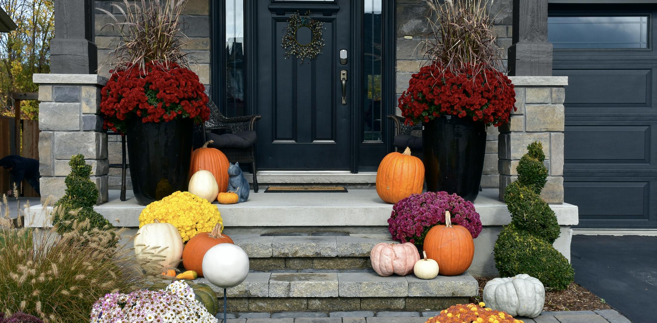 Mum plants and pumpkins lining the stairs on the front porch of a home with a black door.