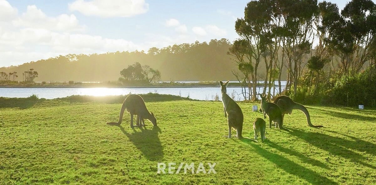 16238354-6-5970EB9 2 Fraser Island, Victoria, Australia