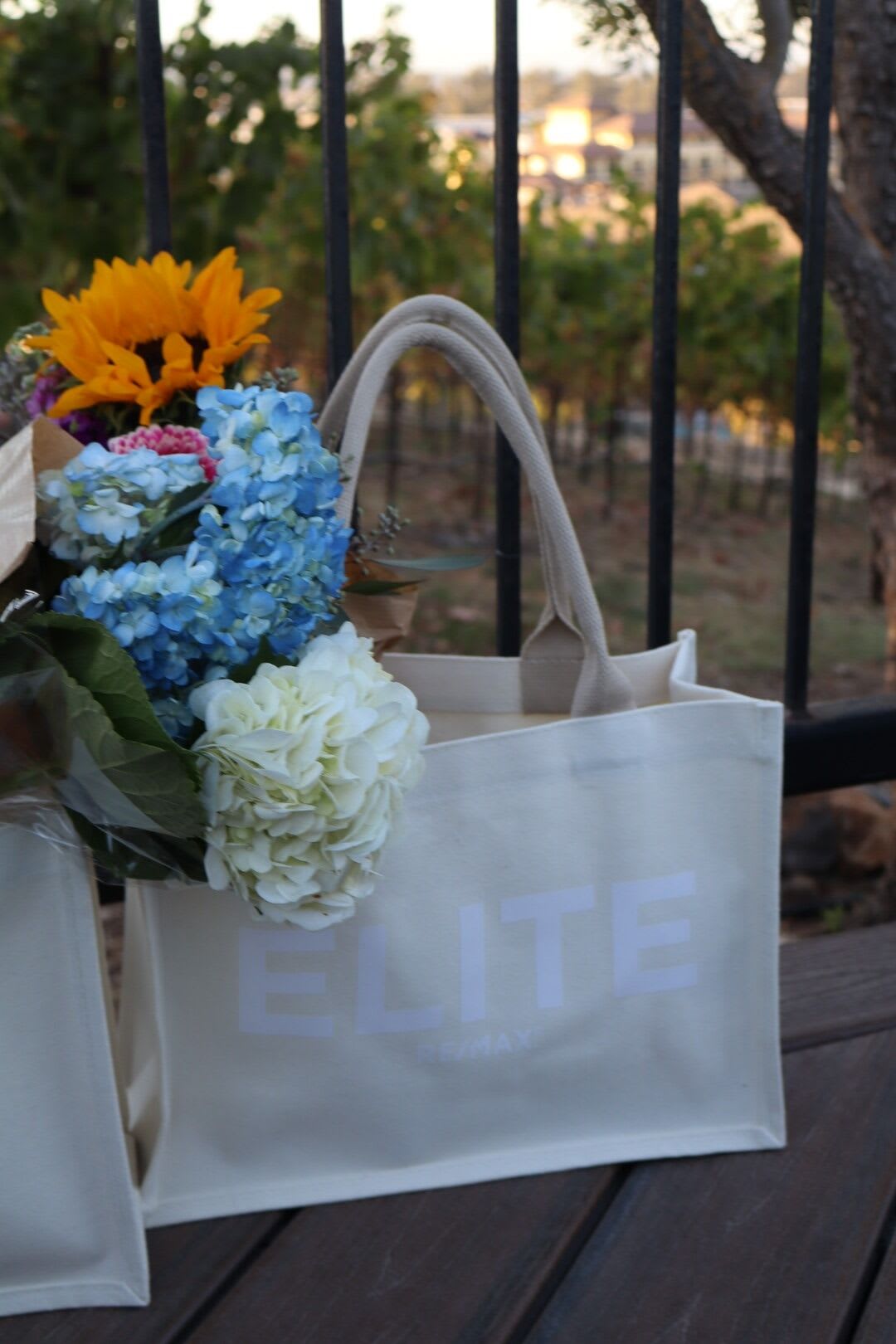 6b599dda-c8d0-4020-850f-cc3e4183f1e6