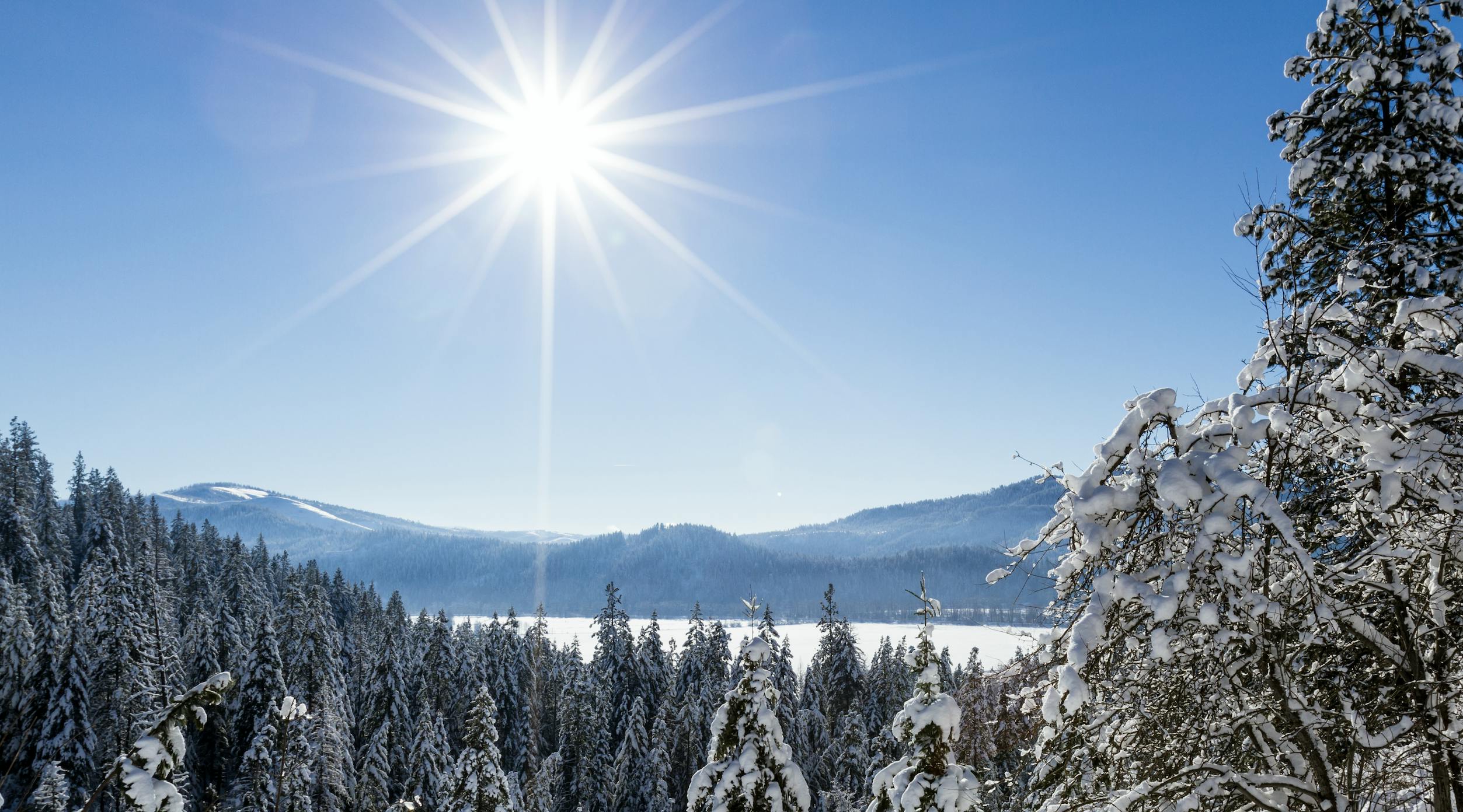 image-20240102-034052