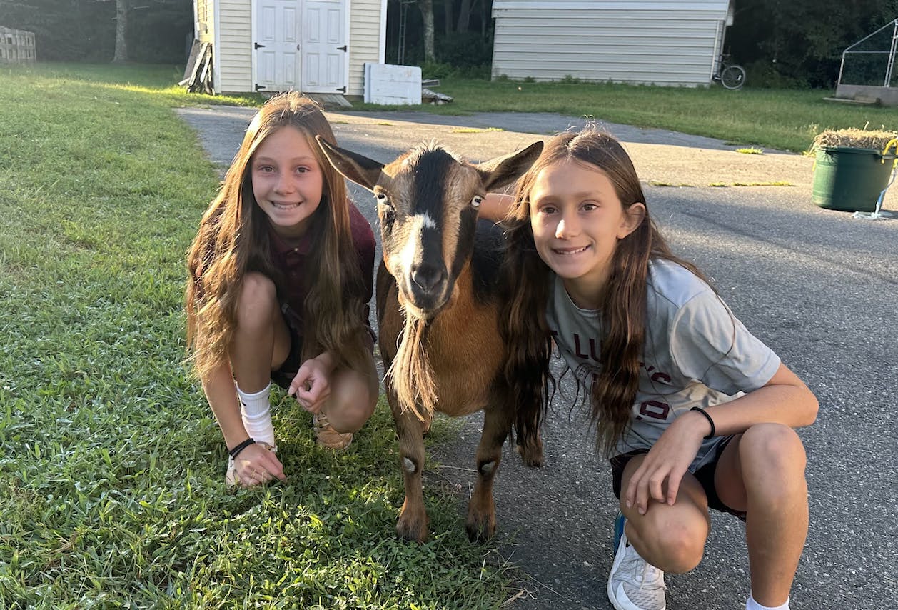 image-20240102-034052