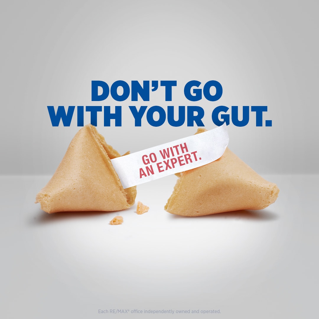 2023_SS_Cookie_1080x1080 Advice Your Need 2023 ad campaign