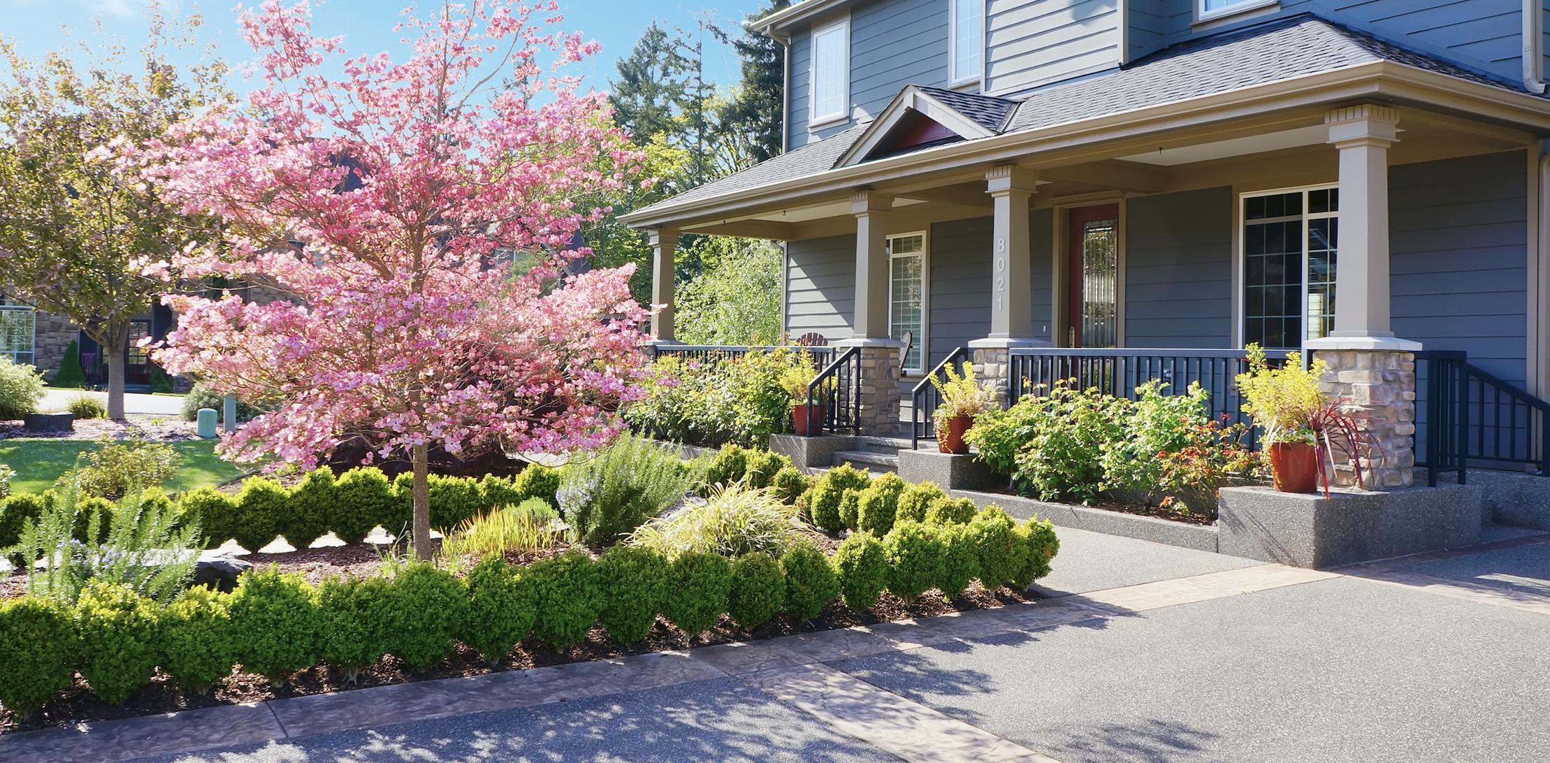 Two-story house with a front porch, green shrubbery, and a blooming pink tree in the front yard.