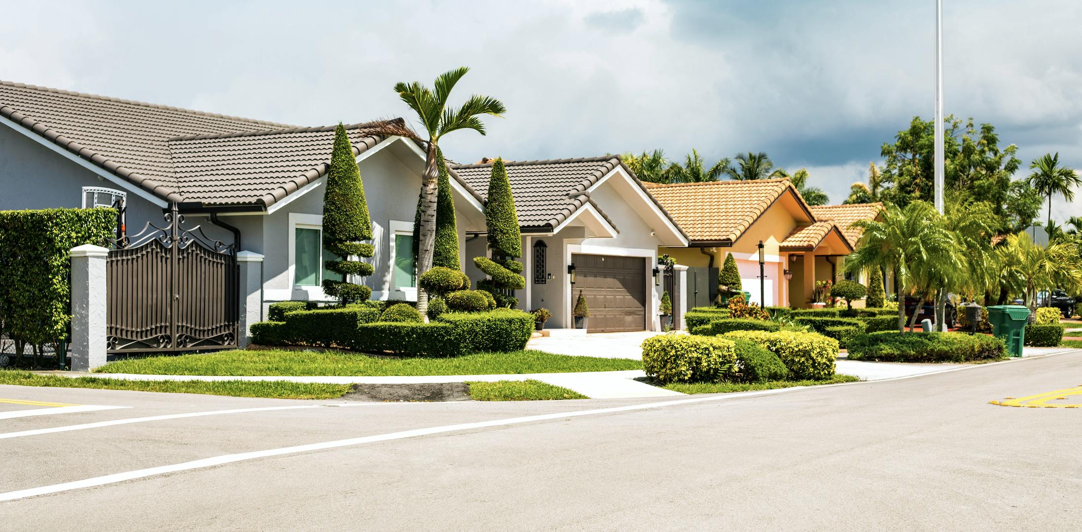 Houses in a neighborhood with palm trees and a street lamp.