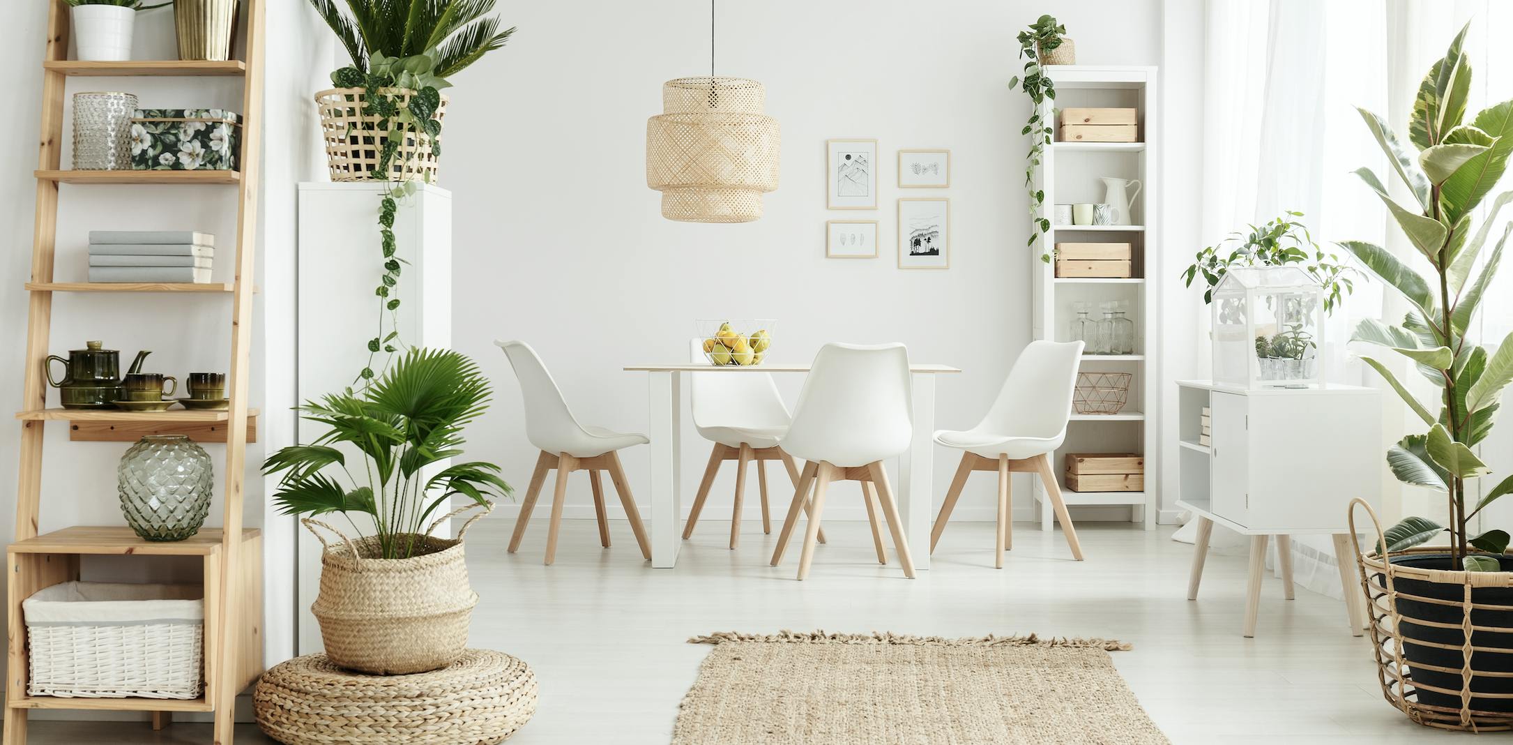 Why Those Born in May Take Decorating Cues from Nature